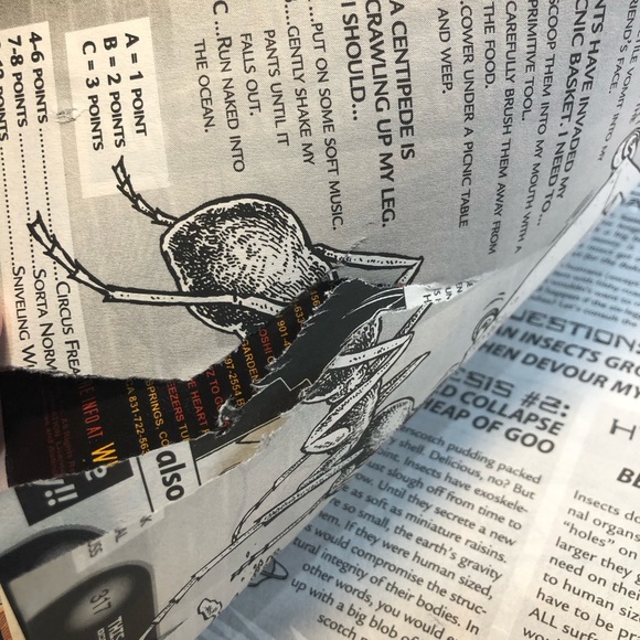 Shonen Jump Magazines Issues 10 & 11 October November 2003 see notes - Picture 7 of 12